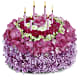 Your Special Day