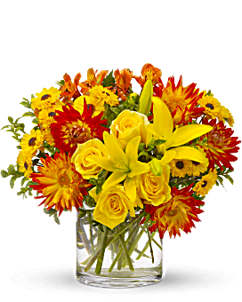 Yellow , Mixed Bouquets , Summer Samba , Same Day Flower Delivery By Teleflora