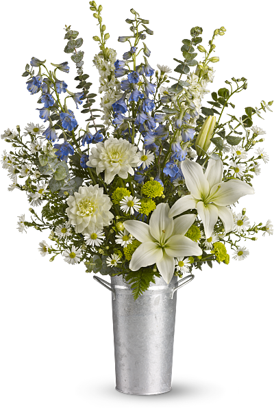 Comprar Larkspur / Delphinium