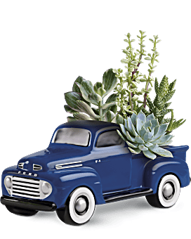 His Favorite Ford F1 Pickup by Teleflora Plant