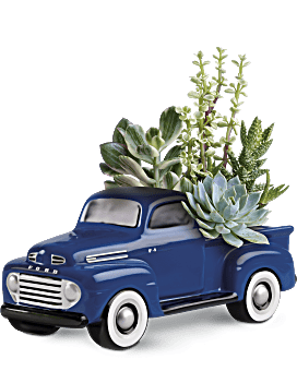 Su camioneta Ford F1 favorita de la planta de Teleflora