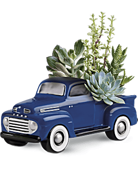 Su camioneta Ford F1 favorita de la planta de Teleflora