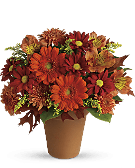 Teleflora's Cozy Christmas #CH23TA • Canada Flowers