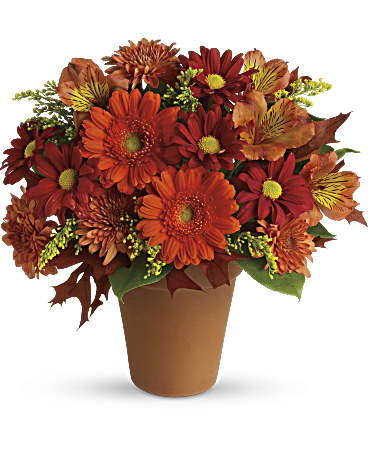 Golden Glow Flower Arrangement - Teleflora