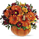 Country Pumpkin