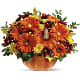 Country Pumpkin