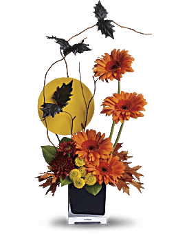 Multi-Colored , Gerberas , Boo-Tiful Bats , Same Day Flower Delivery By Teleflora