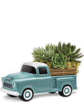 Pickup Chevy perfecto por la planta de Teleflora