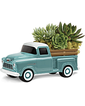 Perfect Chevy Pickup by Teleflora Plant