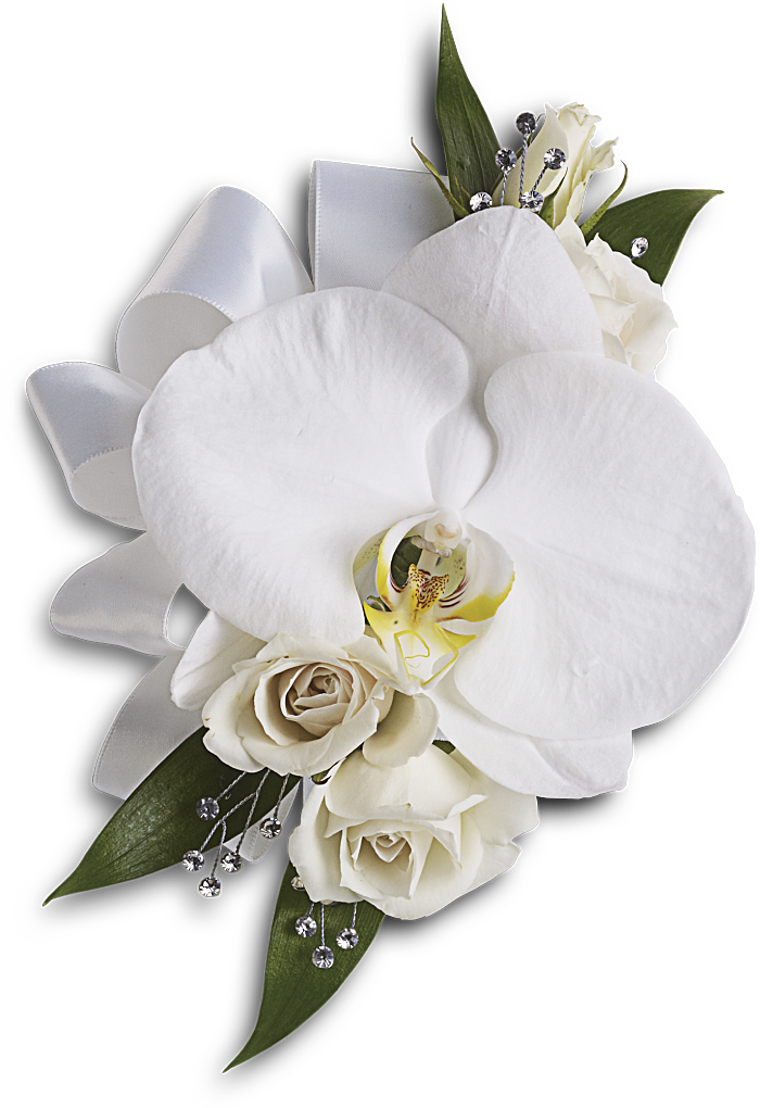 Corsage Rose et orchidée blanches