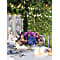 Teleflora's Purple Elegance Centerpiece Flower Arrangement