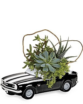 Teleflora's Chevy Camaro Plant Garden Plant