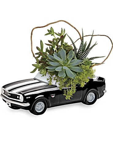 Order a Chevy Camaro Plant Garden for Father's Day