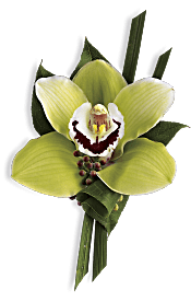Green Orchid Boutonniere Flowers