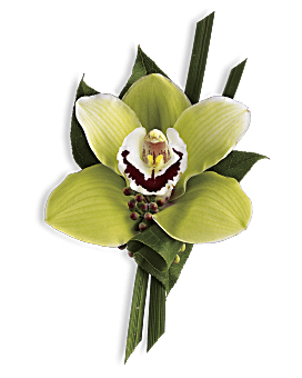 Boutonniere de orquídea verde