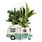 Teleflora's Cool Camper Succulent Garden Plant