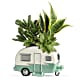 Cool Camper Succulent Garden