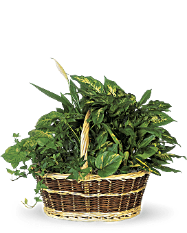 Large Basket Garden Basket Arrangement