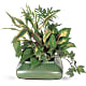 Small Garden Dish
