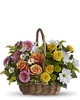 Multi-Colored, Mixed Bouquets, Sweet Tranquility Basket,  Flower Delivery By Teleflora