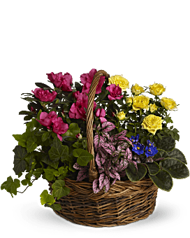 Multi-Colored , Roses , Blooming Garden Basket , Same Day Flower Delivery By Teleflora
