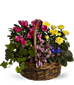 Blooming Garden Basket Flowers