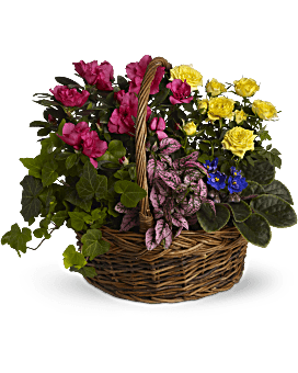 Garden To Go Basket Teleflora