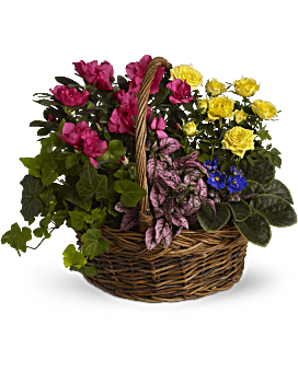 Blooming Garden Basket Basket Arrangement