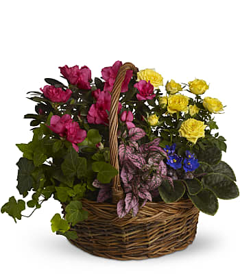Blooming Garden Basket Flowers