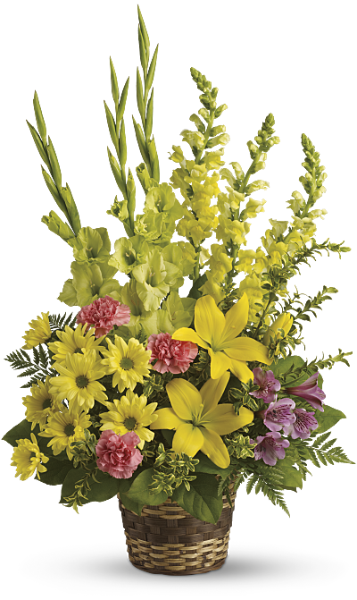 Shop for Snapdragons