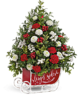 Bouquet forestier Traîneau festif de Teleflora