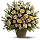 Rose Remembrance