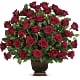 Rose Tribute