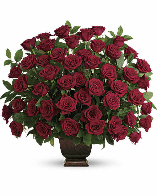 Red | Roses | Rose Tribute | Same Day Flower Delivery by Teleflora