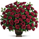 Rose Tribute