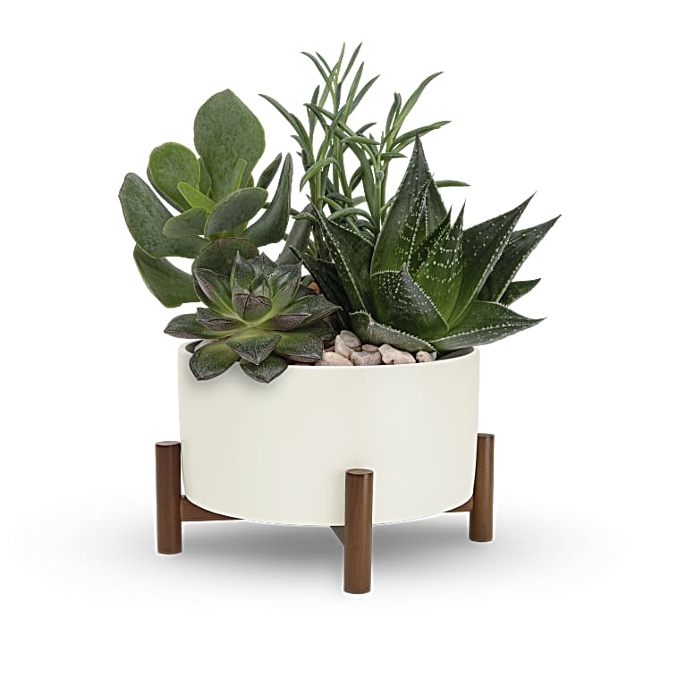 Mid-Century Garden