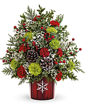 Zip Code Lookup | Carnations | Same Day Flower Delivery | Red | Teleflora