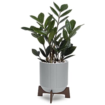 Teleflora's Mid-Mod Classic