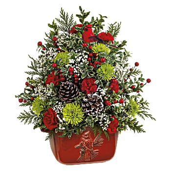 Teleflora's Cardinal Heirloom Tree