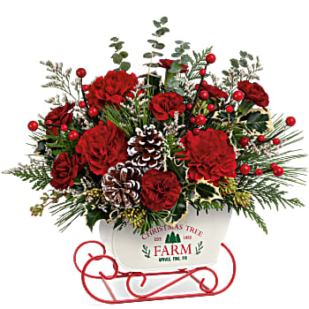 Teleflora's Snow What Fun Bouquet