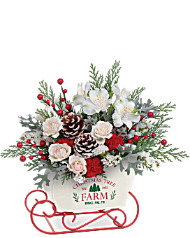 Teleflora's Winter Sleigh Bouquet Bouquet