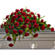 Adoration Casket Spray