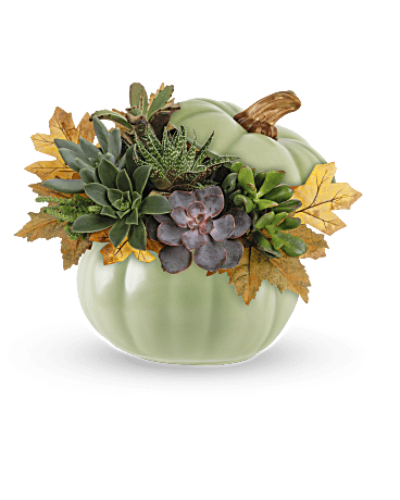 Pumpkin Garden Arrangement