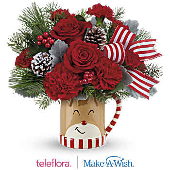 Teleflora's Send A Hug Reindeer Wish Bouquet