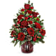 Ruby Radiance Tree