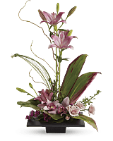 Imagination Blooms with Cymbidium Orchids