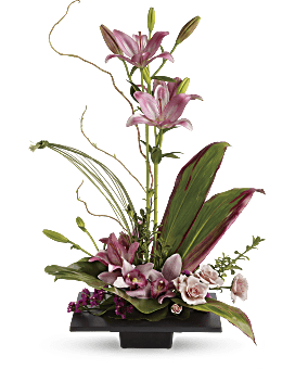 La imaginación florece con arreglo floral de orquídeas Cymbidium