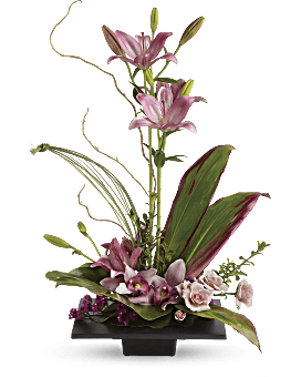 Imagination Blooms with Cymbidium Orchids