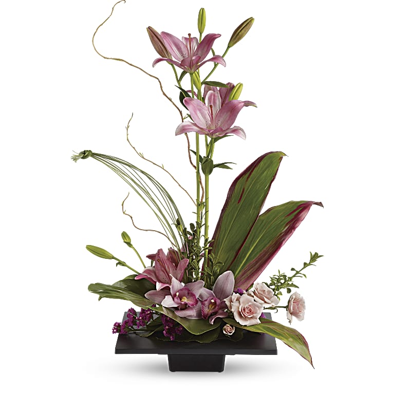 Imagination Blooms with Cymbidium Orchids