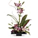 Imagination Blooms with Cymbidium Orchids